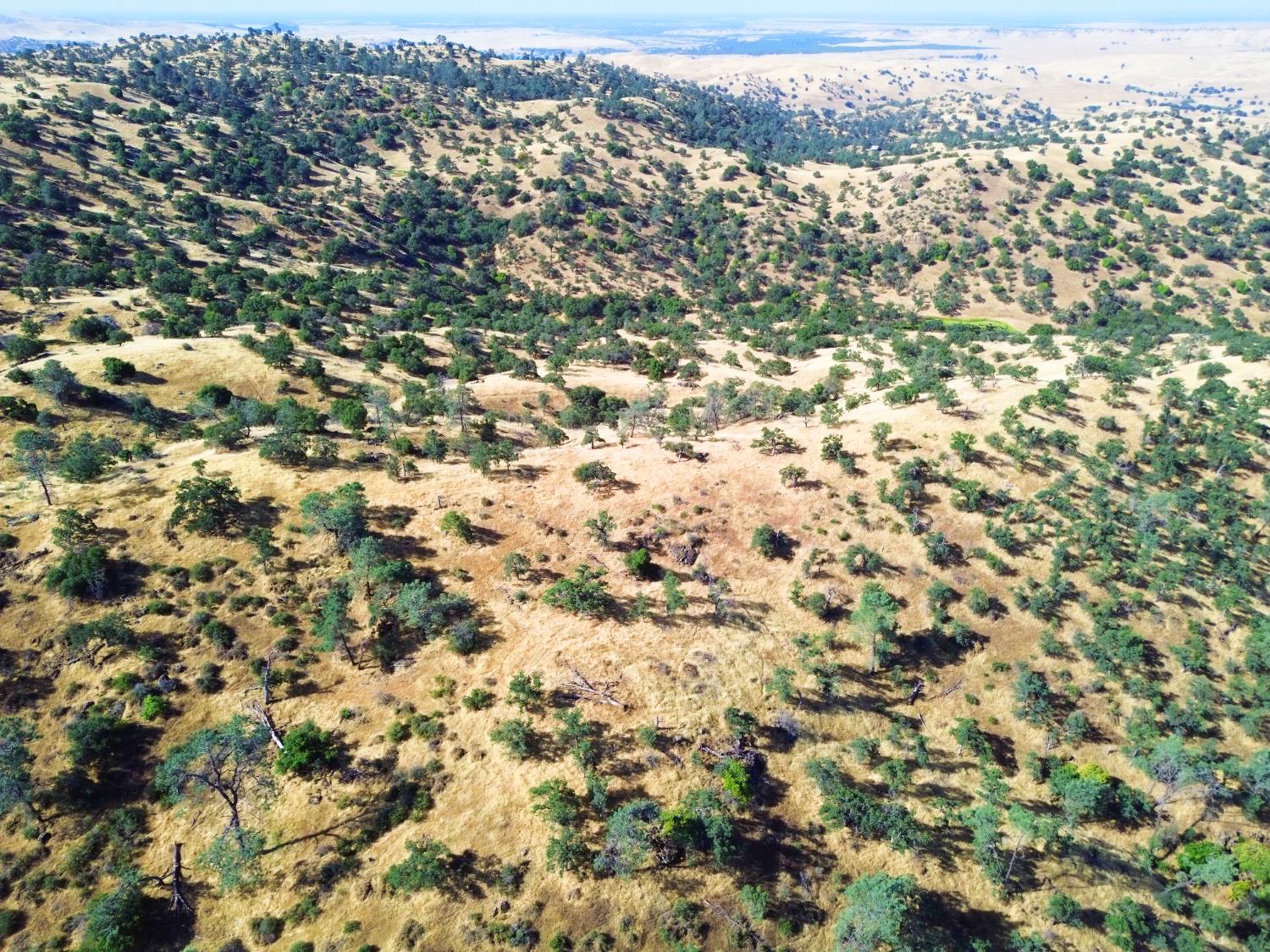 0 0 No Address, Friant, CA 93626