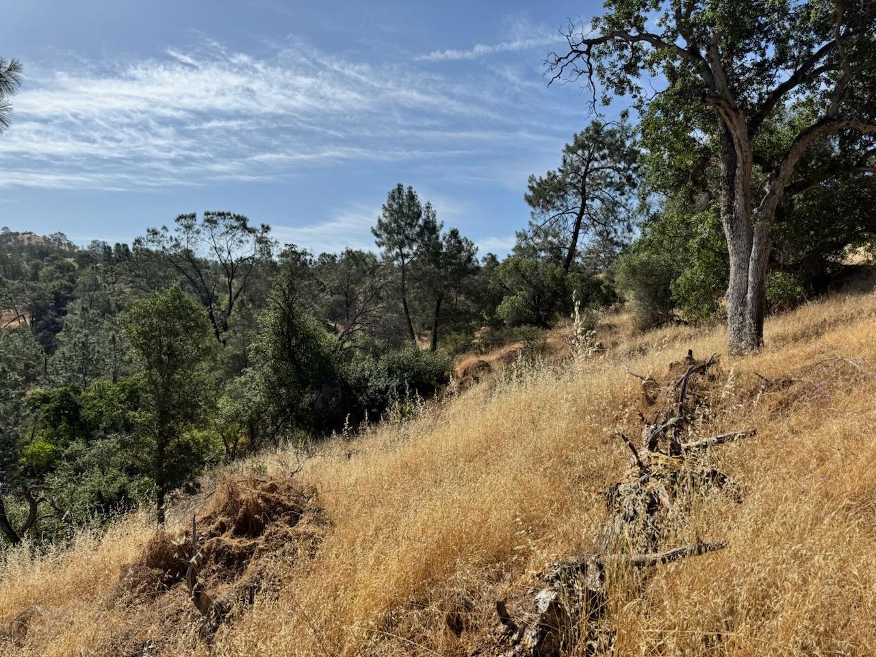 0 0 No Address, Friant, CA 93626